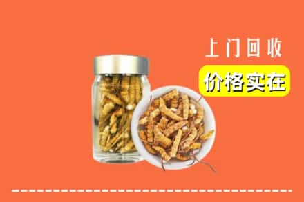 马鞍山市当涂回收散虫草