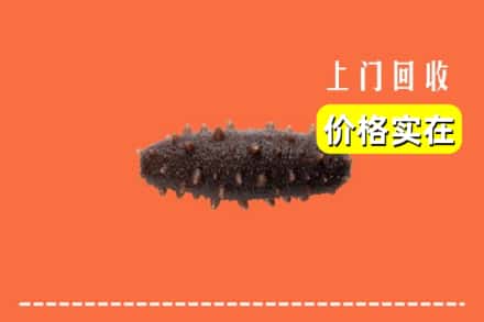 诚信求购:马鞍山市当涂高价回收海参