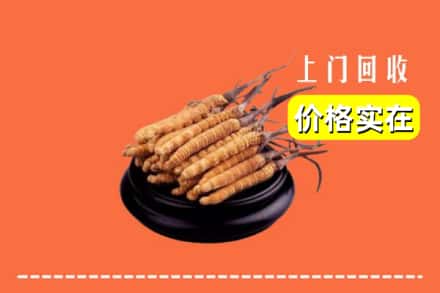 诚信求购:马鞍山市当涂高价回收冬虫夏草